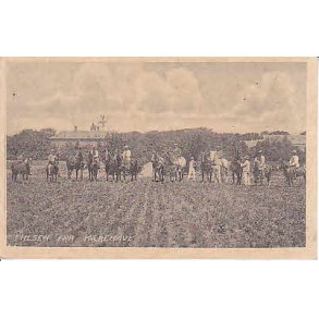 Hilsen fra K�rehave u/n