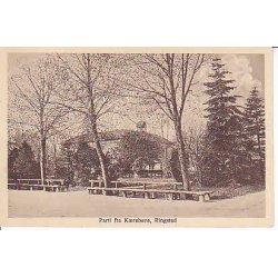 Parti fra K&aelig;rehave - Ringsted. E.N. u/n