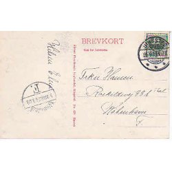 K&aelig;rehave - H&oslash;nseriet .A.F.478