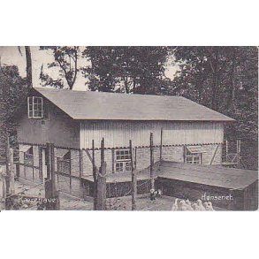 K&aelig;rehave - H&oslash;nseriet .A.F.478