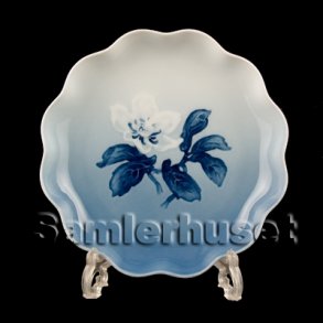 Julerose Asiet Rundt