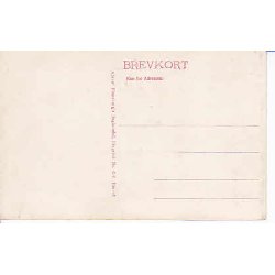 Ringsted. St. Bendts Kirke - A.F. 494