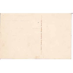 St. Bendts Kirke.Ringsted . A.F. 535