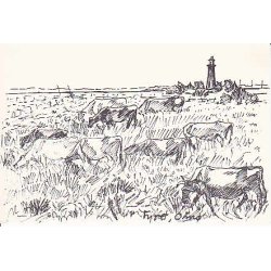 Fyret -Om&oslash; - u/n