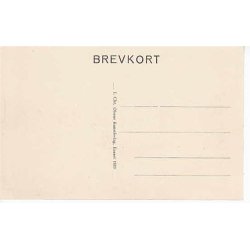 Udsigt over Kallundborg. J.C.Olsen 1889