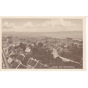 Udsigt over Kallundborg. J.C.Olsen 1889