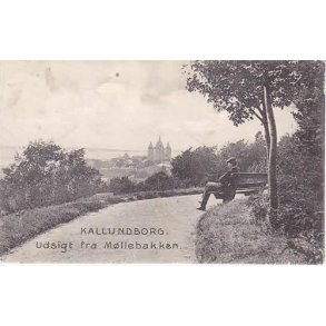 Kallundborg.Udsigt fra M&oslash;llebakken.St. 7446