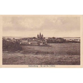 Kallundborg. By set fra Ulfsh&oslash;j - J.C.P. 375