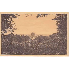 Kallundborg. Udsigt fra Anl&aelig;get .St.43243