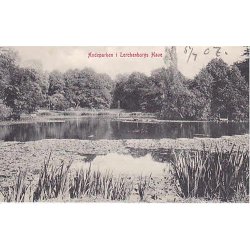 Andeparken i Lerchenborgs Have. WKF 2173