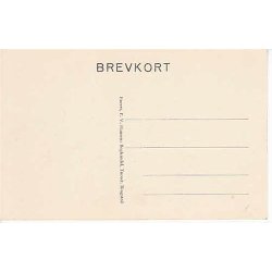 Parti fra Haraldsted S&oslash;. P.V.H.u/n