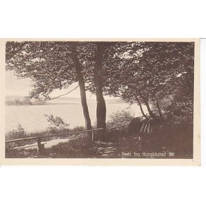 Parti fra Haraldsted S&oslash;. P.V.H.u/n