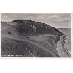 Klitter ved Skamb&aelig;k. S.N. 9497