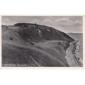 Klitter ved Skamb&aelig;k. S.N. 9497