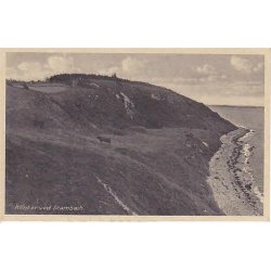 Klitter ved Skamb&aelig;k. J. 276