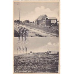 Fra Svallerup Strand.K&JS 6594