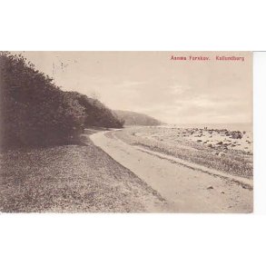 Asn&aelig;s Forskov. Kallundborg. L.E. 106