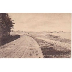 Asn&aelig;s Parti fra Havnemark. L.E. 44501