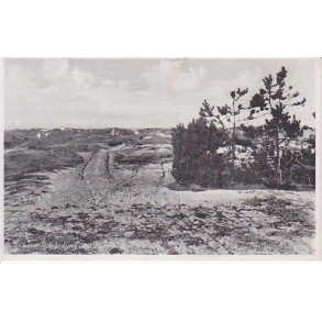 Gudmindrup Lyng ved Sejr&oslash;bugt. G.R. 81006