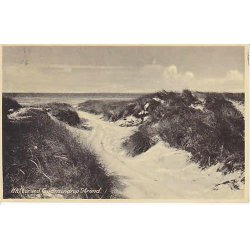 Klitter ved Gudmindrup Strand. S.B. 87072