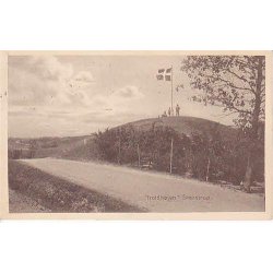 Troldh&oslash;jen - Stenstrup. S.B. 25547