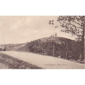 Troldh&oslash;jen - Stenstrup. S.B. 11