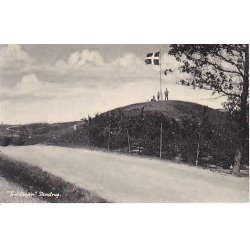 Troldh&oslash;jen - Stenstrup. S.B. 14328