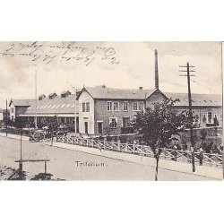 Trifolium - A.O.3634