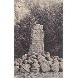 Karise - P.N.T. 1001