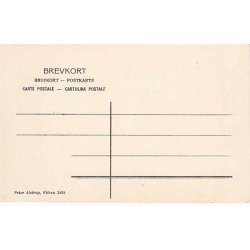 Storehedinge - Torvet - P.A. 2409