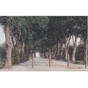 Sorø - Reitzensteins Alle -WKF 2213