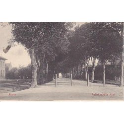 Sor&oslash; - Reitzensteins Alle -WKF 464