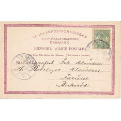 Tjustrup set fra Suserup Skov - WKF 2225