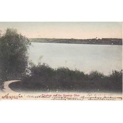 Tjustrup set fra Suserup Skov - WKF 2225