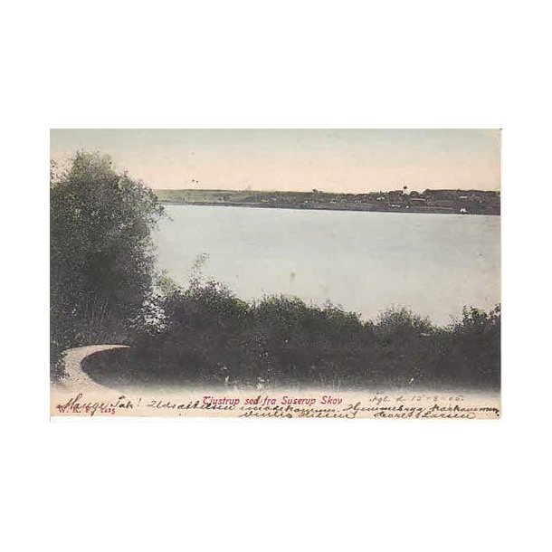 Tjustrup set fra Suserup Skov - WKF 2225