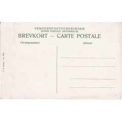 Parti fra Sor&oslash;egnen - C.F.556