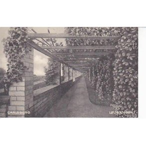 Carlsberg L&oslash;vgangen - u/n