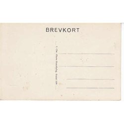 Glostrup Kommuneskolen - C.O. 1491