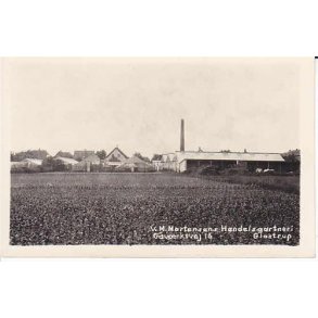 V.M.Mortens Handelsgartneri - Glostrup