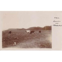 Stranden ved Albertslund 9-8-1912 -