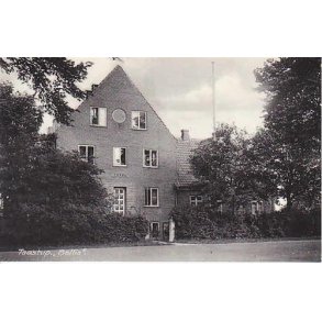 Taastrup - Bellis - R.O. 7991