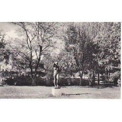 Taastrup - R&aring;dhushaven - R.O. 7994