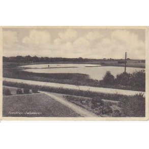 Taastrup - Selmosen - R.O. 6603