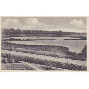 Taastrup - Selmosen - R.O. 2657