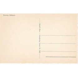 Gl&aelig;delig Jul - R&aring;dhuset - R.O. 2662