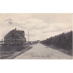 Parti fra Liseleje - A.J. 22516