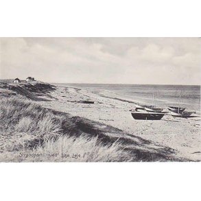 Strandparti fra Liseleje - A.J. 8012
