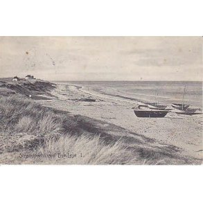 Strandparti fra Liseleje - A.J. 8012