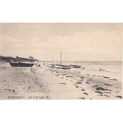 Strandparti ved Liseleje - A.J. 8007