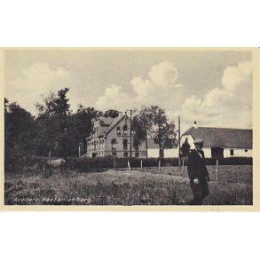 Aved&oslash;re - Kastanienborg- A.B. u/n